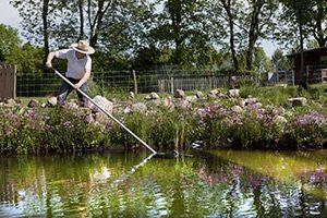 cleaning-pond