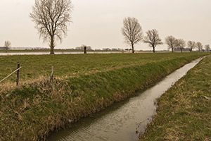 ditch