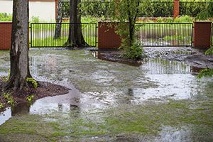 standing-water