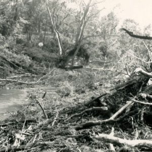 00-00-000 Stream with trees and rubble along bank -looks like flood aftermath-website