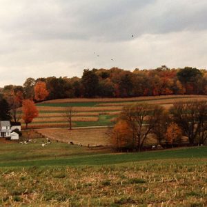 00-00-0000 Cook Farm#1-Website