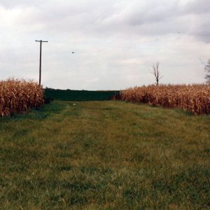 00-00-0000 Cook Farm#4-0001