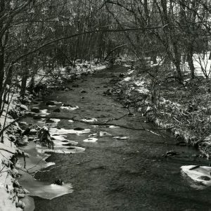 00-00-0000 Creek flowing though forest in wintertime-website