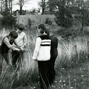 Group of young people planting trees