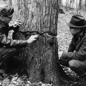 00-00-0000 L-R- Dean Swigart, Harris Quam ‘frilling method’ Walter Swigart Woods-website