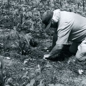 Examining a Field