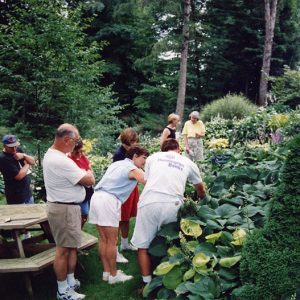 00-00-0000 People visiting W&G#6-Website