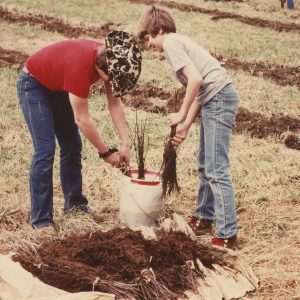 April 13, 1981. Boy Scouts planting Tulip Poplar for Cooperator John Wirick. Jefferson Township.