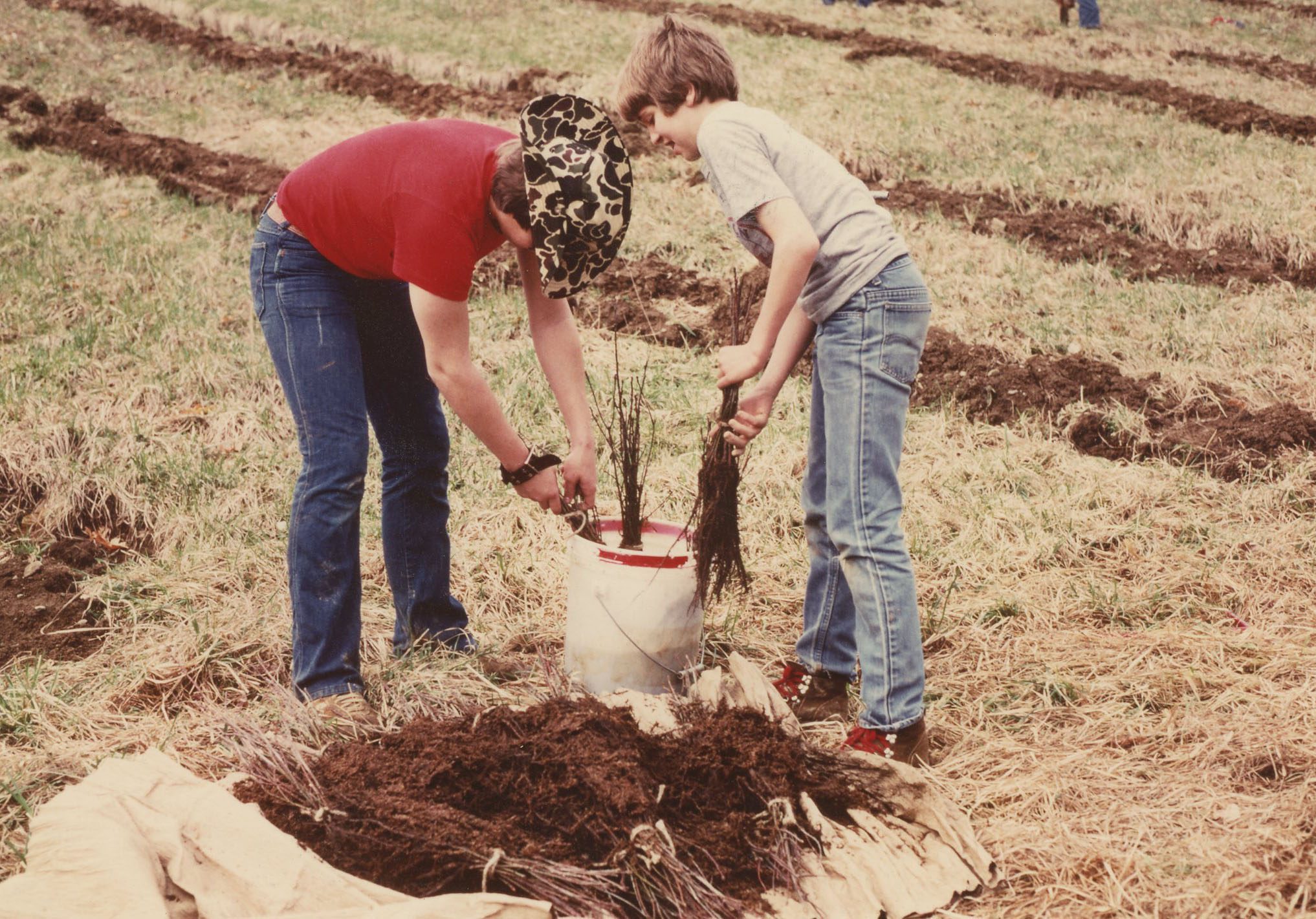  April 13, 1981. Boy Scouts planting Tulip Poplar for Cooperator John Wirick. Jefferson Township.
Photo ID#: E