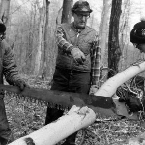 00-00-0000 Two boys saw log while adult directs them. Photo by Robert Mills