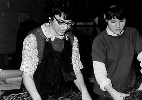 00-00-0000 Two people working with tree seedlings. Photo by Robert Mills