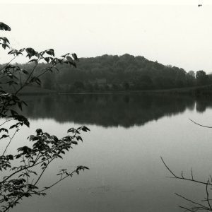 00-00-0000 Unidentified pond #1-website