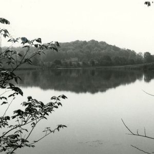 00-00-0000 Unidentified pond #2-website