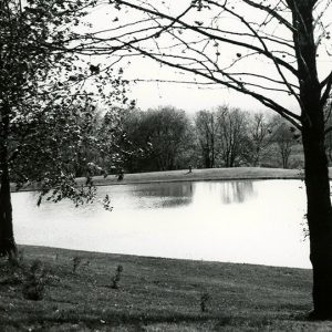 00-00-0000 Unidentified pond-website