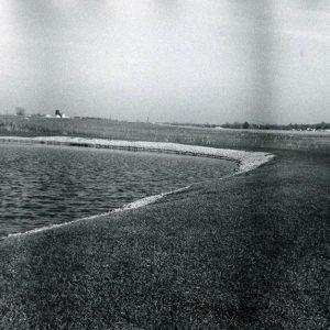 00-00-0000 Unidentified pond#1-website
