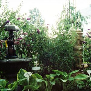 00-00-0000 W&G Fountains#1-Website