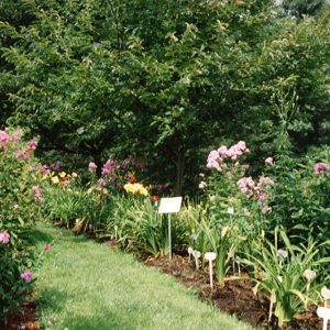 00-00-0000 W&G Landscape plants & flowers#3-Website