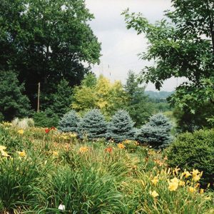 00-00-0000 W&G Landscape plants & flowers#4-Website