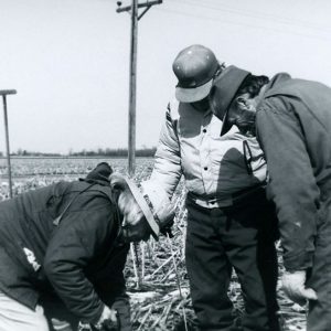 Men in a Field