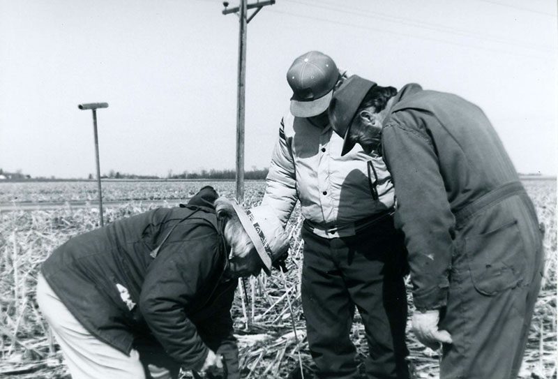 Men in a field
p srcset=