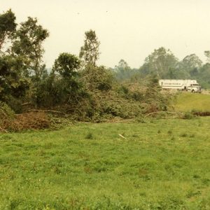 00-00-1990 Tornado. Cedar Fork.W.Bellville#3-Website