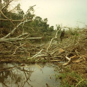 00-00-1990 Tornado. Cedar Fork.W.Bellville#7-Website