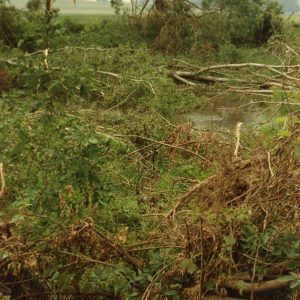 00-00-1990 Tornado. Cedar Fork.W.Bellville#9-Website