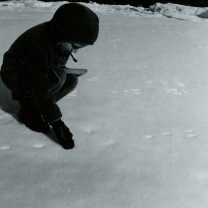 01-26-1968 Ed Lenger windbreak. Rabbit track-website