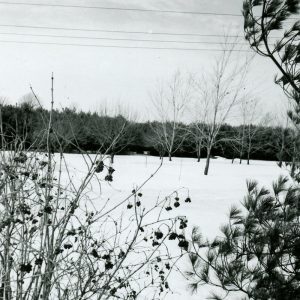 01-26-1968 Glenn Haverfield windbreak#7-website