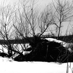 02-25-1964 Muskrat house in swamp at John Hattery farm-website