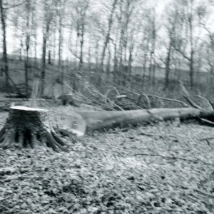 03-20-1969 Stewart Woods-website