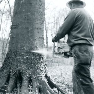 03-20-1969 Stewart Woods. Lester Rine-website