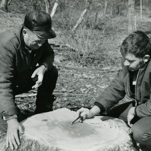 03-30-1971 Freeman Swank, landowner, Jack Basinger,ODF Forester examine a stump to determine the growth rate-website