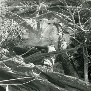 03-87 Anatomy of a logjam-website