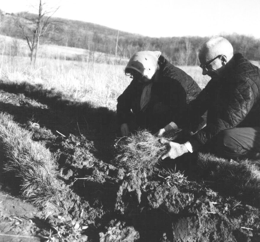 April 6, 1969. Annabell and Clarence Snavely at J. Rinehart Farm
p srcset=