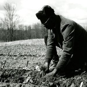 04-06-1974 Brooks Sellers helps plant trees (1000 white pine) at the Dr. Marvin Dees Farm-website