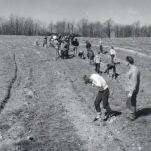 04-08-1967 Tree Planting