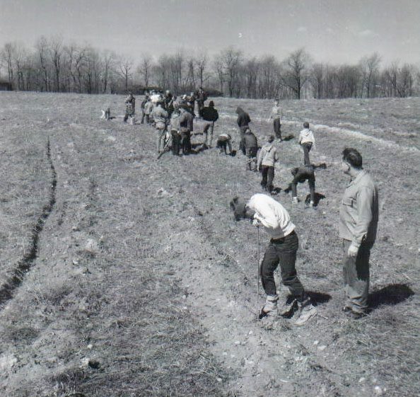 April 8, 1967. Tree planting
p srcset=