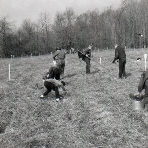 04-10-1965 Tree Planting