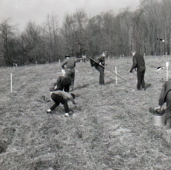 April 10, 1965. Tree planting
p srcset=