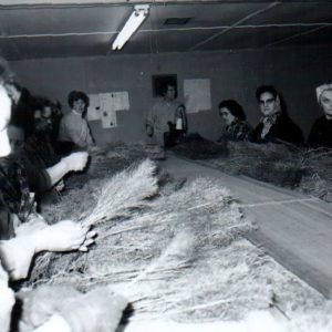 04-11-1968 Suncrest Nursery-website