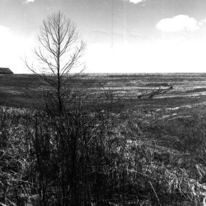04-14-1964 E. Johnson Pond-website