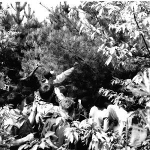 05-24-1966 Rural Life Center Hedges School