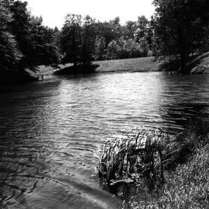 05-28-1977 Sam Roush pond on Shelby Ganges Road 5 acres-website