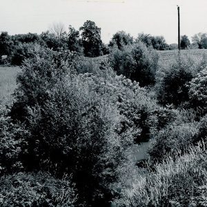 06-28-1962 A before view of Marsh Run #2 channel looking east from bridge on Sharp Rd-website