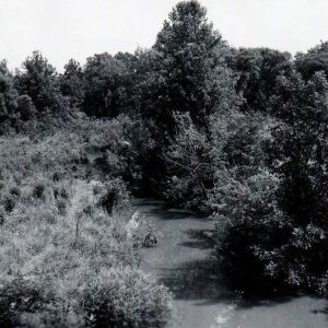 06-28-1962-Marsh Run 2 east of SR 61-website