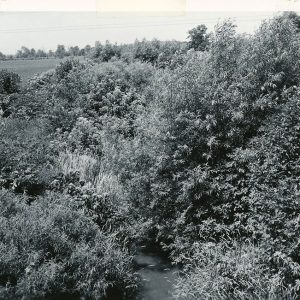 06-28-1962 a before scene of Marsh Run #2 channel looking west from Sharp Rd-website