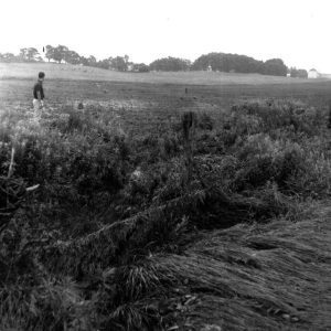 06-29-1967 Black Fork Marsh Run Project 4 inch rain events in Shiloh #1-website