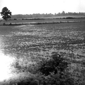 06-29-1967 Black Fork Marsh Run Project 4 inch rain events in Shiloh #3-website