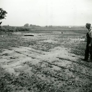 07-05-1969 John Winger looks at damage to his soybean field by silt & gravel deposited by flood of July 4th.-website